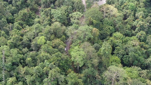 Wallpaper Mural Slow motion of car running on the road in rain forest. Aerial view of Asia forest. Flight over jungle by Drone. Transportation and Environment Concept. Torontodigital.ca