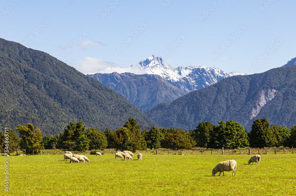 Southern Alps. South Island, New Zealand