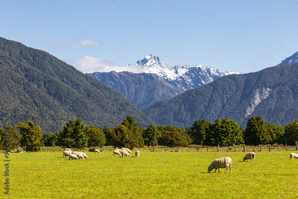 Views of Southern Alps. South Island, New Zealand