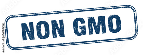non gmo stamp. non gmo square grunge sign. label