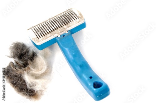 Cat plastic brush with cat hair clump on side. Wire bristle grooming brush. Fur stuck to comb. Brush out knots and remove middle, under or winter coat. Long hair cat maintenance. Isolated on white.