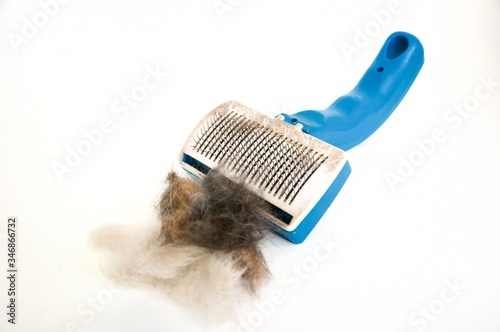 Cat plastic brush with cat hair clump on side. Wire bristle grooming brush. Fur stuck to comb. Brush out knots and remove middle, under or winter coat. Long hair cat maintenance. Isolated on white.