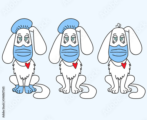 3 white dogs in medical clothing - mask, gloves, hat, protection against viruses and diseases. Different options for drawing and objects