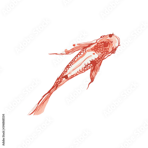 Φωτογραφία gold fish - poissons rouges - carpes koi