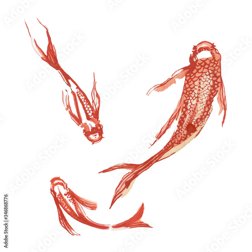 Foto gold fish - poisson rouge