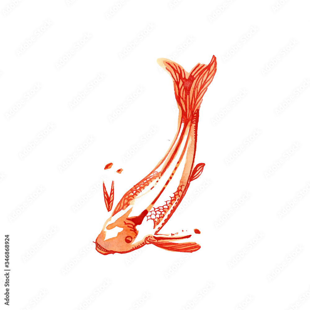 Fototapeta premium gold fish - poissons rouges - carpes koi