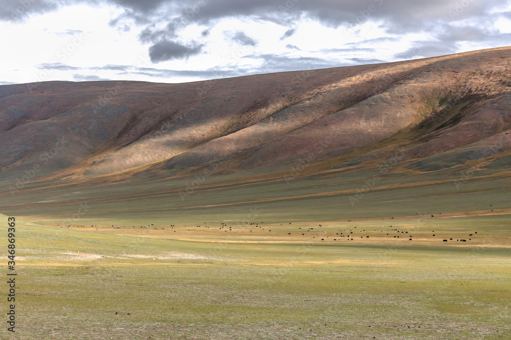 Typical landscapes of Mongolia. mountain slopes and valleys. Altai, Mongolia