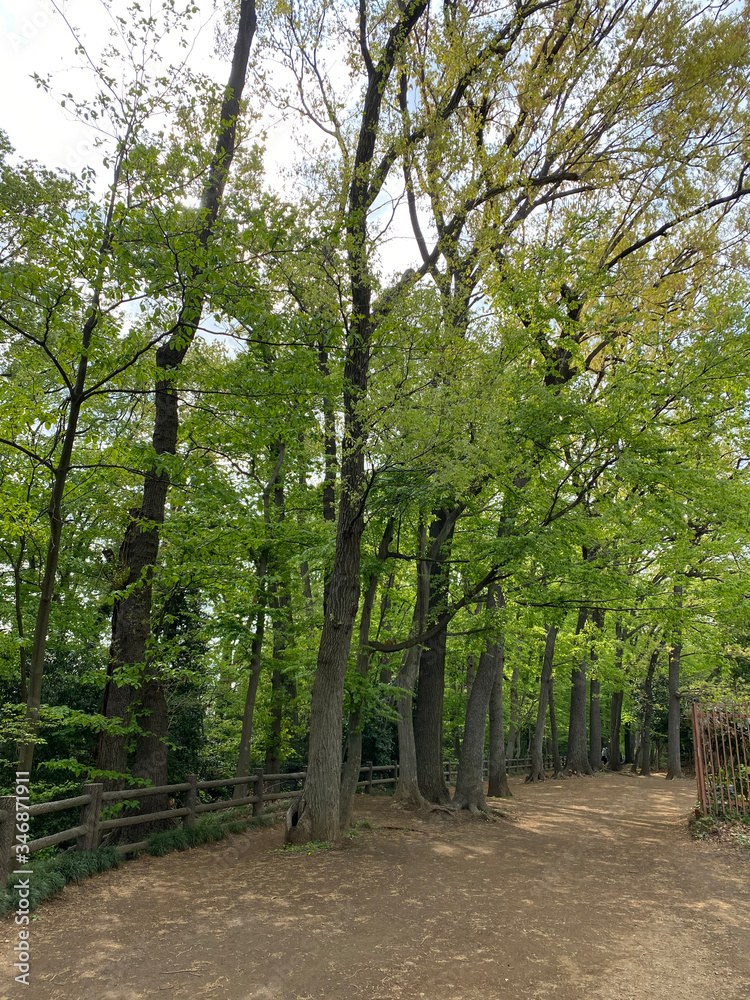 Obraz premium 200508_Promenade_2