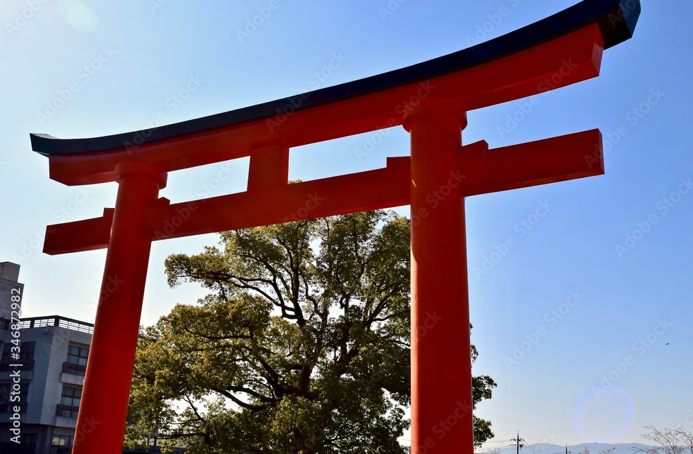 Fototapeta premium 伏見稲荷の鳥居の裏側