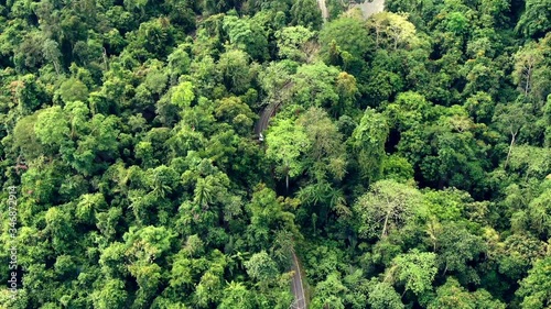 Wallpaper Mural Slow motion and following video of car running on the road in rainforest. Aerial view of Asia forest. Flight over jungle by Drone. Transportation and Environment Concept. Torontodigital.ca