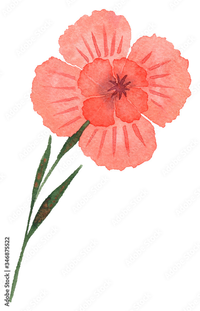 Watercolor flower isolated on white background Watercolor flower isolated on white background