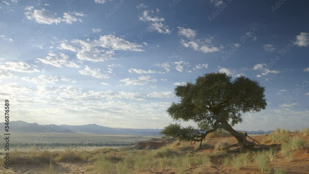 Sunrise over the sand dunes of the Namib desert. Sunrise over the sand dunes of the Namib desert.