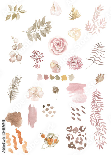 set of watercolor leaves and pale flowers pastel palette
