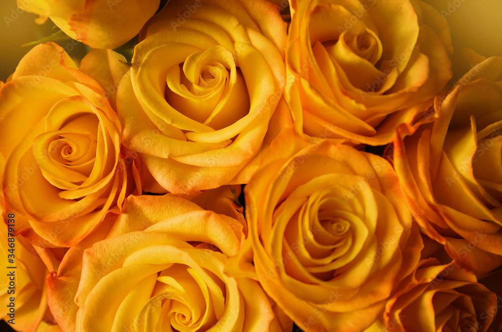 Bouquet of beautiful yellow roses close up on dark background. Bouquet of beautiful yellow roses close up on dark background.