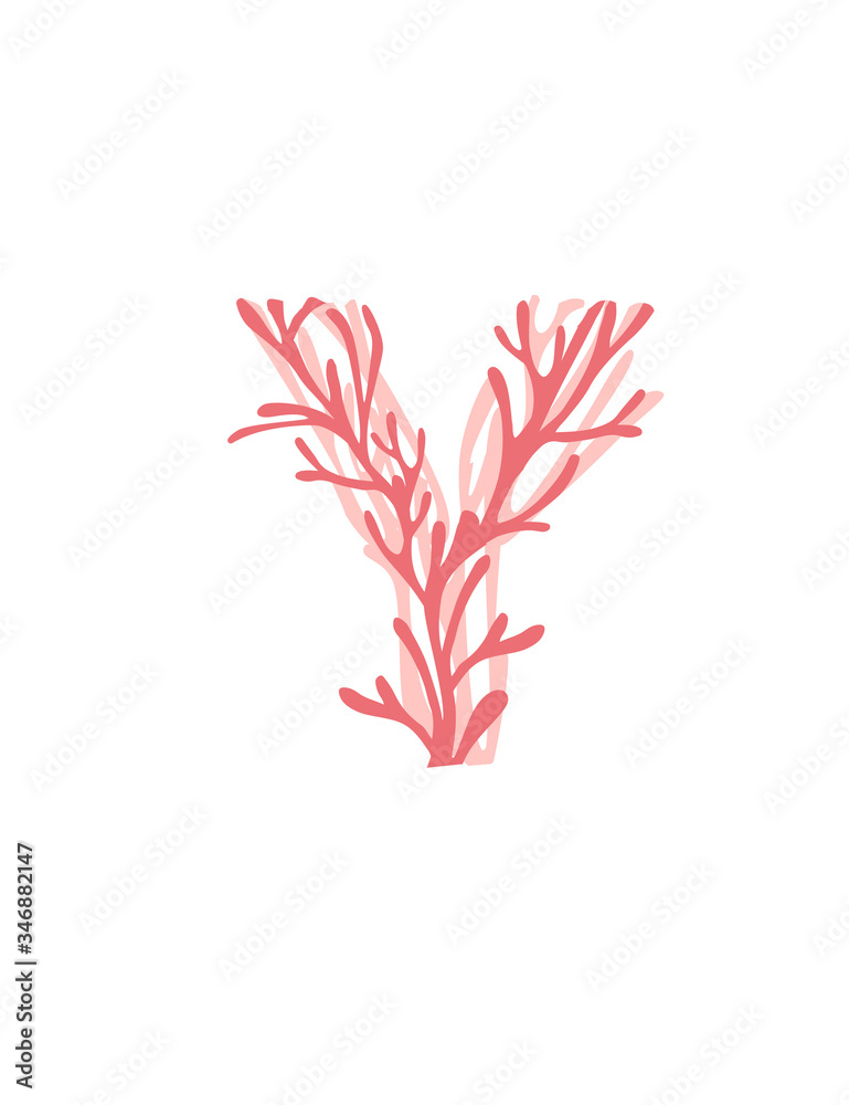 Letter Y pink colored seaweeds underwater ocean plant sea coral elements flat vector illustration on white background