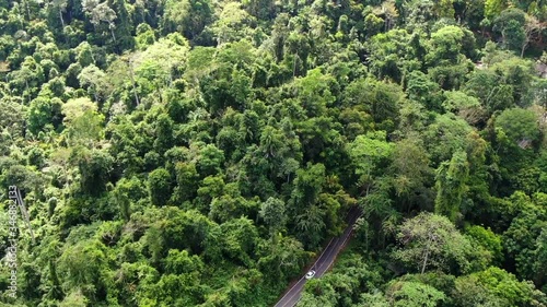 Wallpaper Mural Slow motion and following video of car running on the road into rainforest. Aerial view of Asia forest. Flight over jungle by Drone. Transportation and Environment Concept. Torontodigital.ca