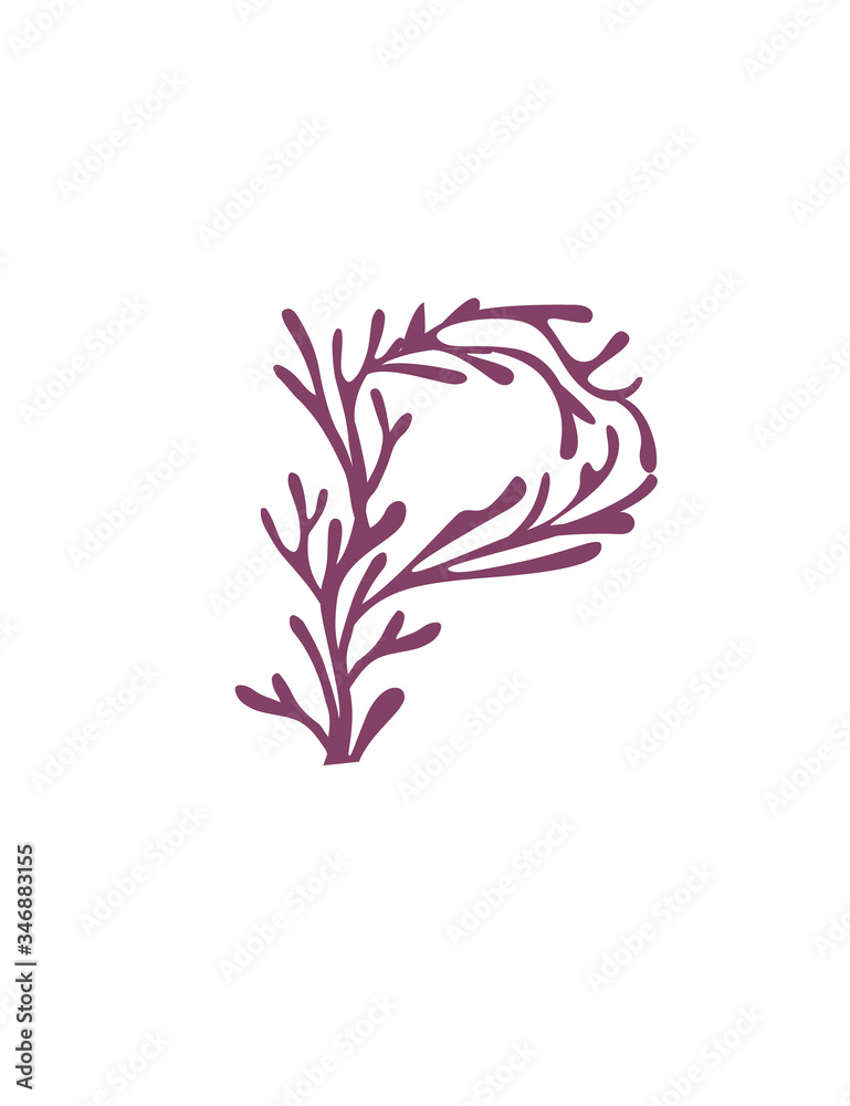 Obraz Letter P purple colored seaweeds underwater ocean plant sea coral elements flat vector illustration on white background