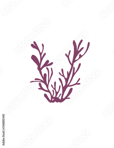 Letter V purple colored seaweeds underwater ocean plant sea coral elements flat vector illustration on white background