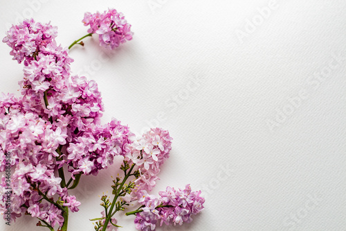 
Ветки розовые и фиолетовой сирени на белом фоне, букет сирени и цветы сирени в воде, брызги от сирени