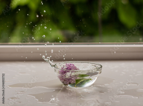 
Ветки розовые и фиолетовой сирени на белом фоне, букет сирени и цветы сирени в воде, брызги от сирени