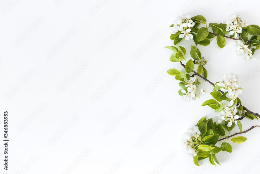Blooming spring pear branches on a white background, floral frame, top view, flat layout. Spring concept