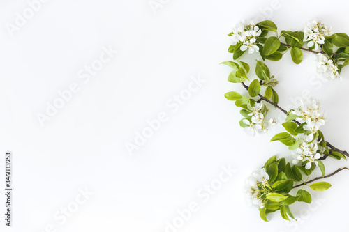Blooming spring pear branches on a white background, floral frame, top view, flat layout. Spring concept