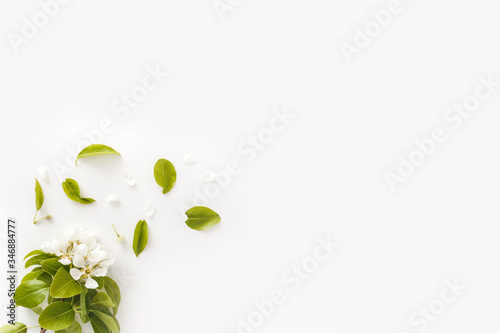 Blooming spring pear branches on a white background, floral frame, top view, flat layout. Spring concept