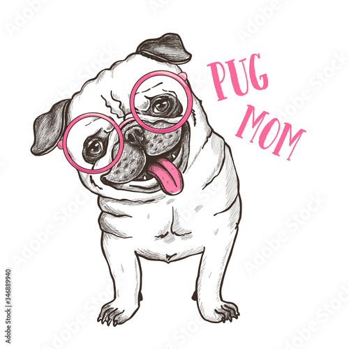 Vector illustration of a hand drawn happy fashionable pug. T shirt print design.