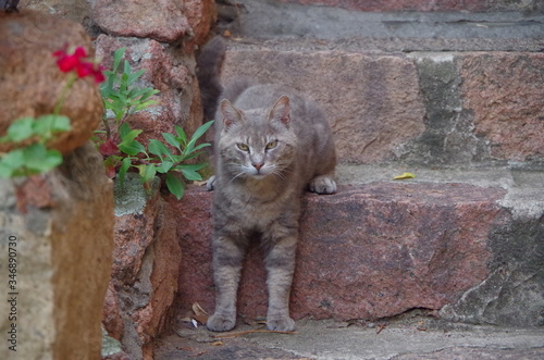 Photography Incontri