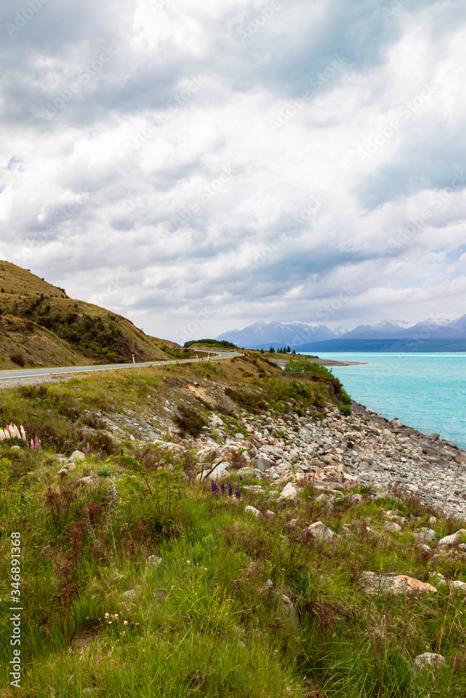 Road to the Southern Alps. South Island, New Zealand