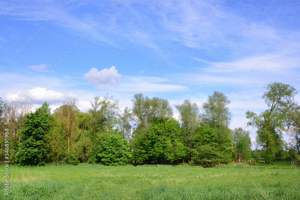 Romantic flat landscape in a wetland in Bavaria, Germany, with green lush meadows and trees, against a blue sky in spring Romantic flat landscape in a wetland in Bavaria, Germany, with green lush meadows and trees, against a blue sky in spring