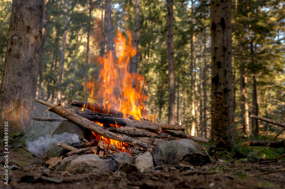 Bonfire in the autumn forest in the evening Bonfire in the autumn forest in the evening