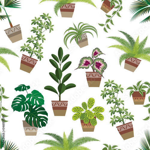 indoor plants of different types make a seamless pattern