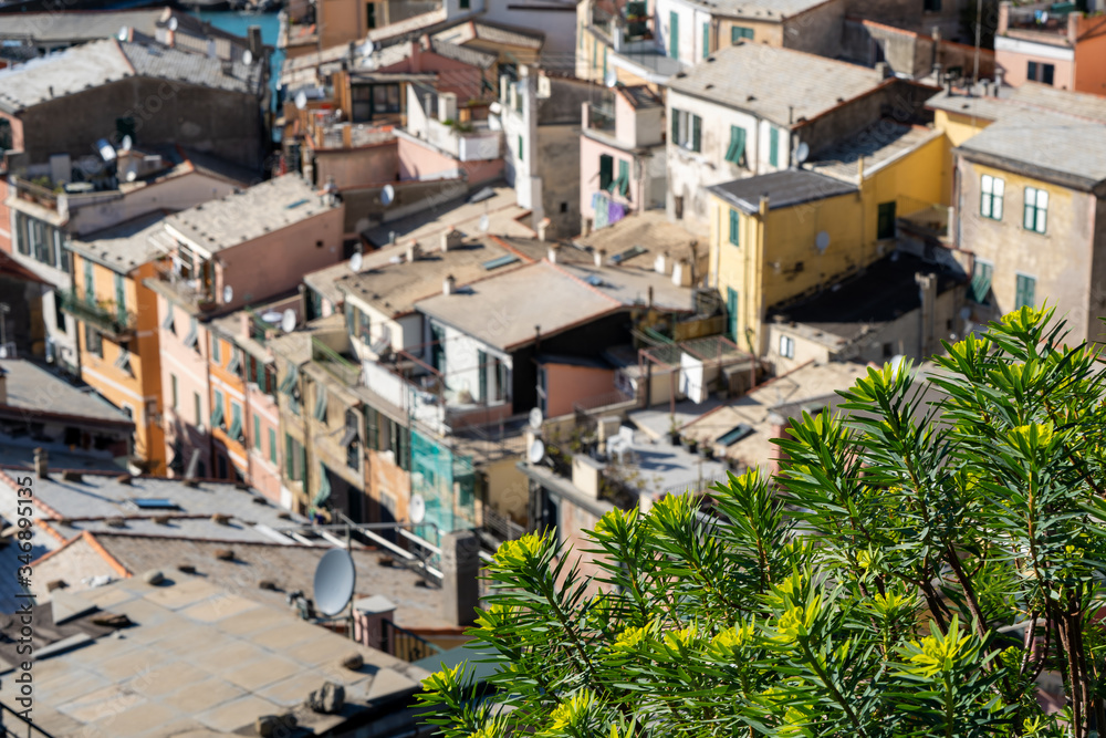 Cityscape of Vernazza, Liguria, Cinque terre, Italy