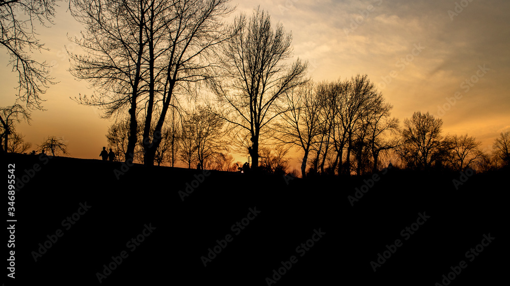 Fototapeta premium Sunset silhouettes of trees and people at shores of Jarun lake in Zagreb during beautiful, golden sunset, just days before lock down because of corona virus.