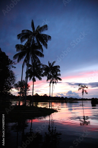 Landscape of Amazon jungle river with coconut palm tree during sunset in Brazil