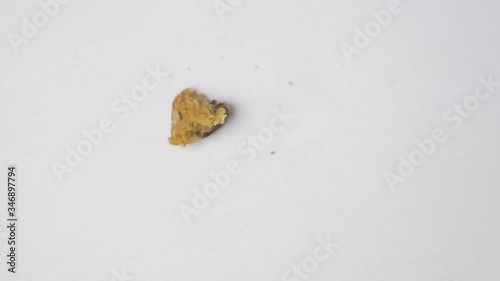 Eating  cookie. Stop motion