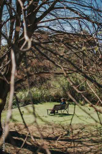A woman sitting on a bench. Peaceful. Serenity. A tree with no leaves.