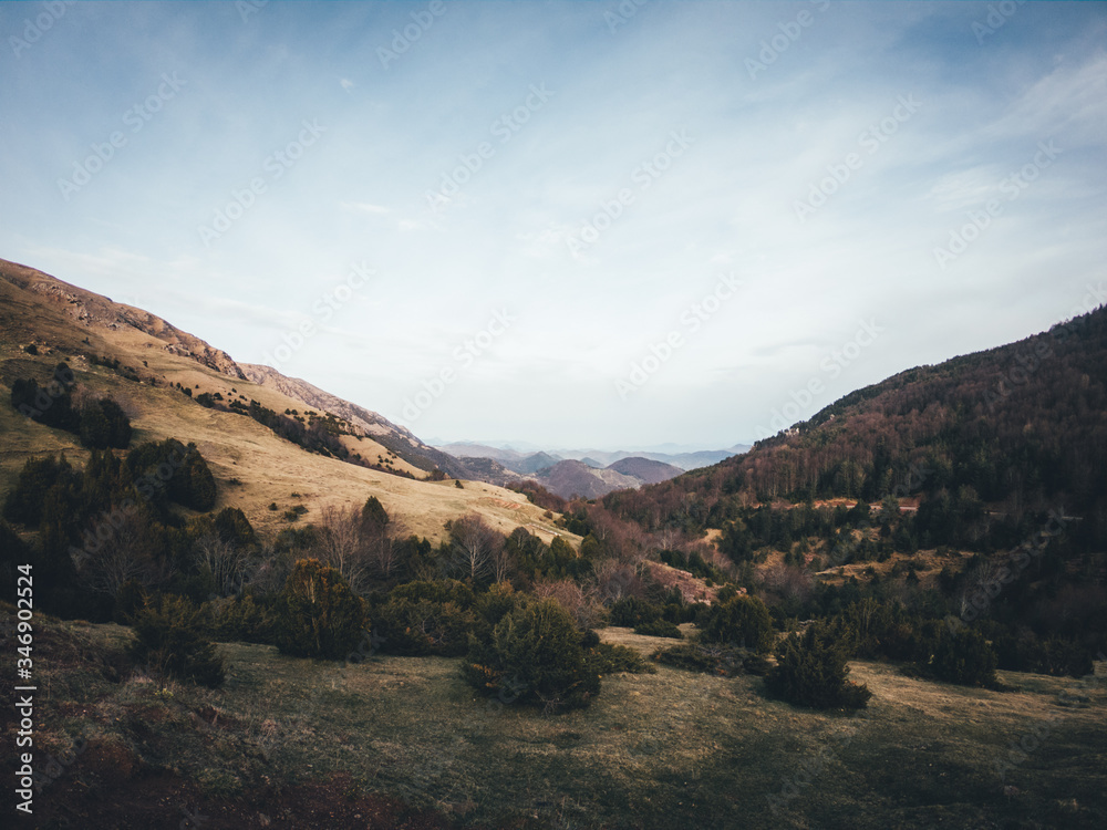 Valle de montaña con bosque y árboles