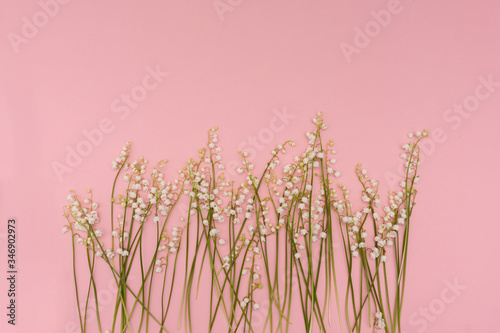 Closeup at white lily of the valley in a raw on pink background  view from the top  copy space.