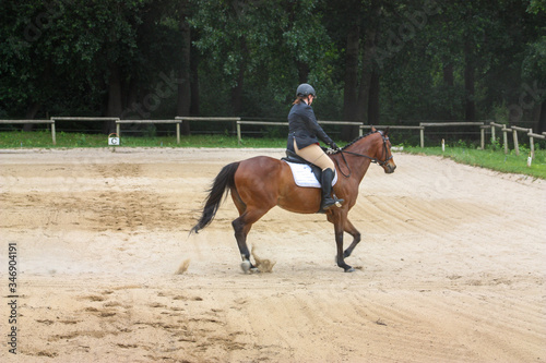 horse and rider dressage