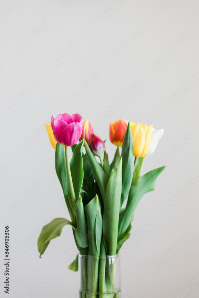 Beautiful multicolored tulips in a vase on white background Beautiful multicolored tulips in a vase on white background