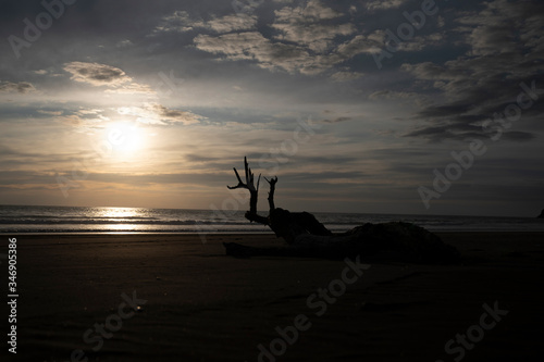Strand Landschaft schwarzer Sand Meer Sonnenuntergang Baum Treibholz © LinaLoos