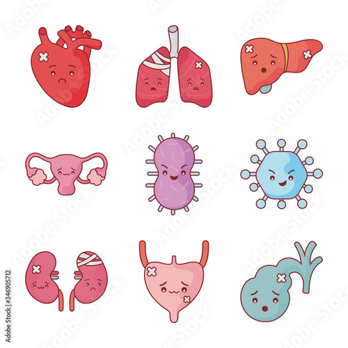 Human organs and virus flat style icon set vector design