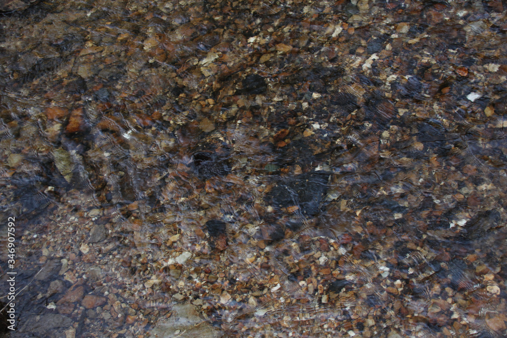 beautiful texture of a stream, a small river, colored wet stones shine through a layer of water, the concept of spring wildlife beautiful texture of a stream, a small river, colored wet stones shine through a layer of water, the concept of spring wildlife