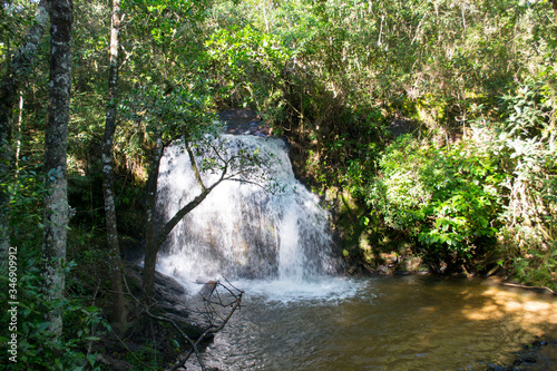 waterfall in the forest