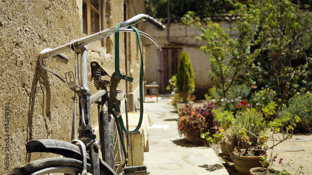 Naklejka premium Vieja bicicleta en jardín