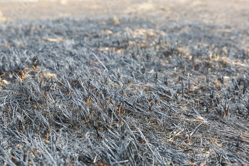 scorched grass on the field after a fire