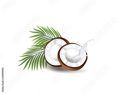 Realistic coconut organic milk ,oil and green palm leaves Vector illustration