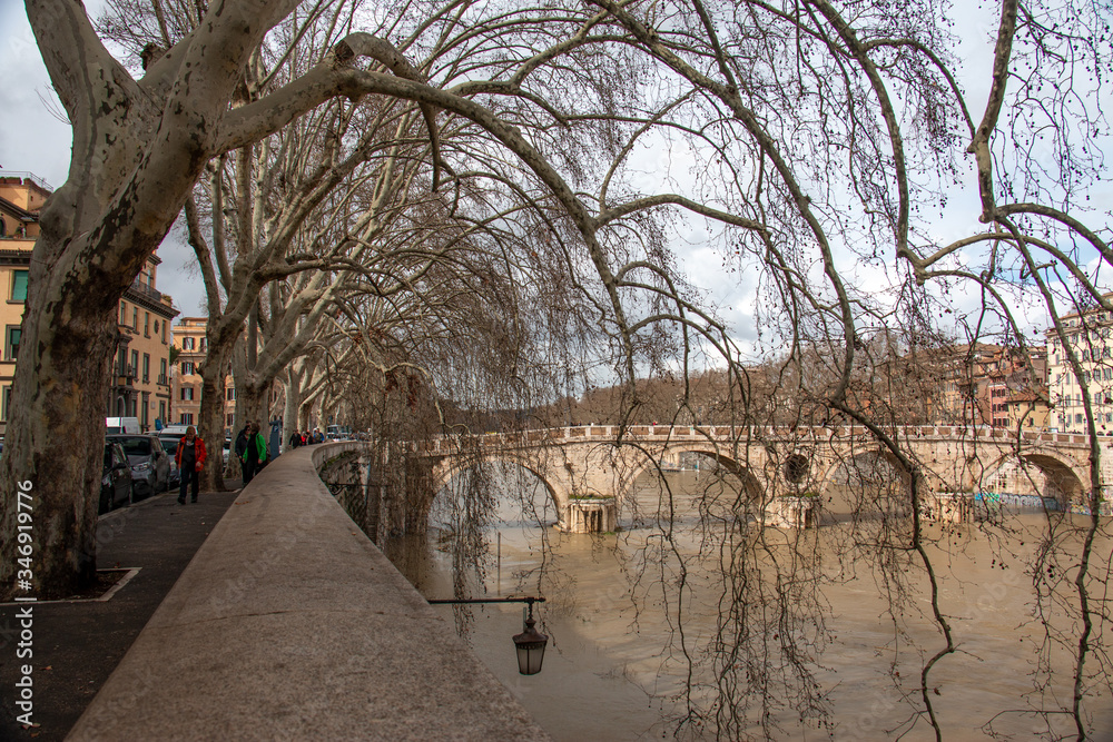 Bridge in Rome framed by trees